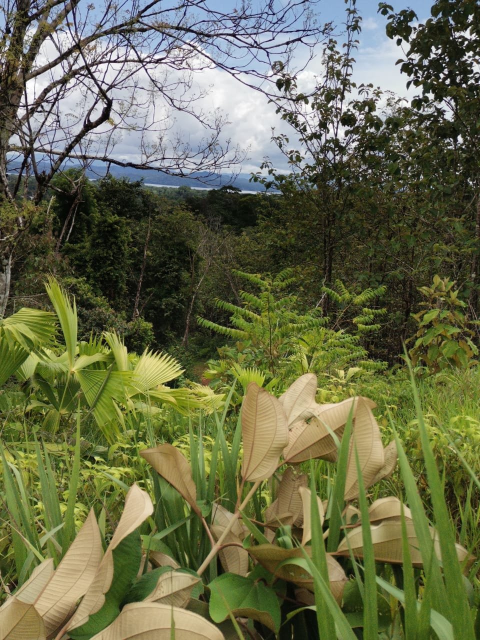 6284a9e6-0472-4f71-acb9-6bc34f8c8201-min