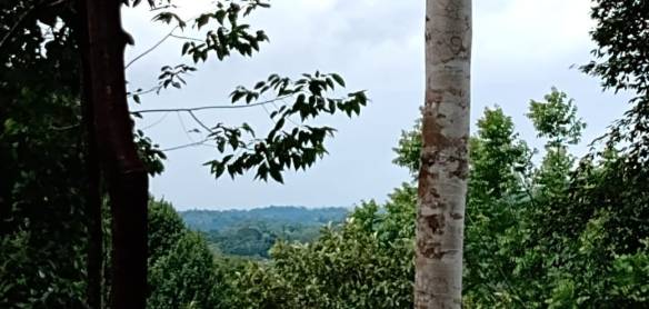 65a4d84b-2bc9-4cdd-8111-cd16f11c65ce-min