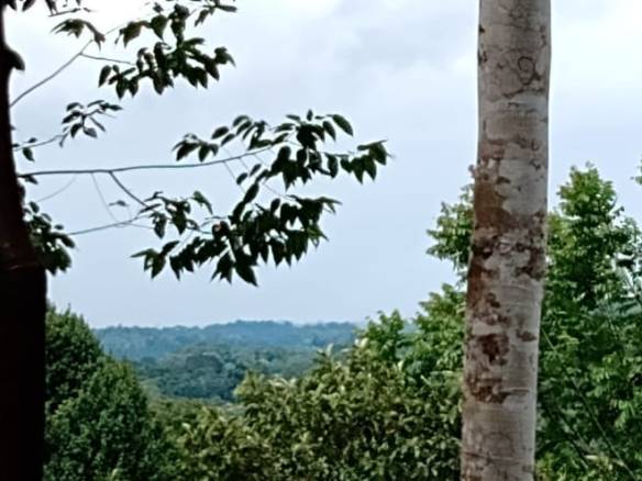 65a4d84b-2bc9-4cdd-8111-cd16f11c65ce-min