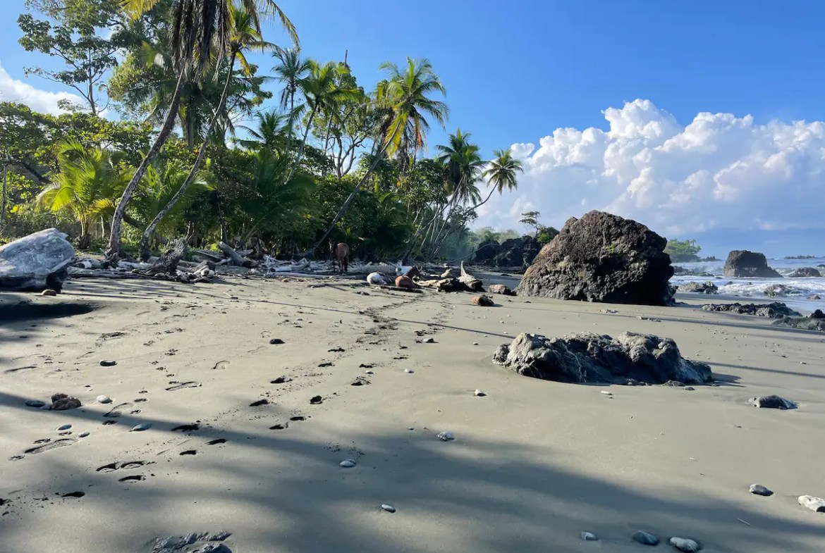 For rent in Pavones, Costa Rica