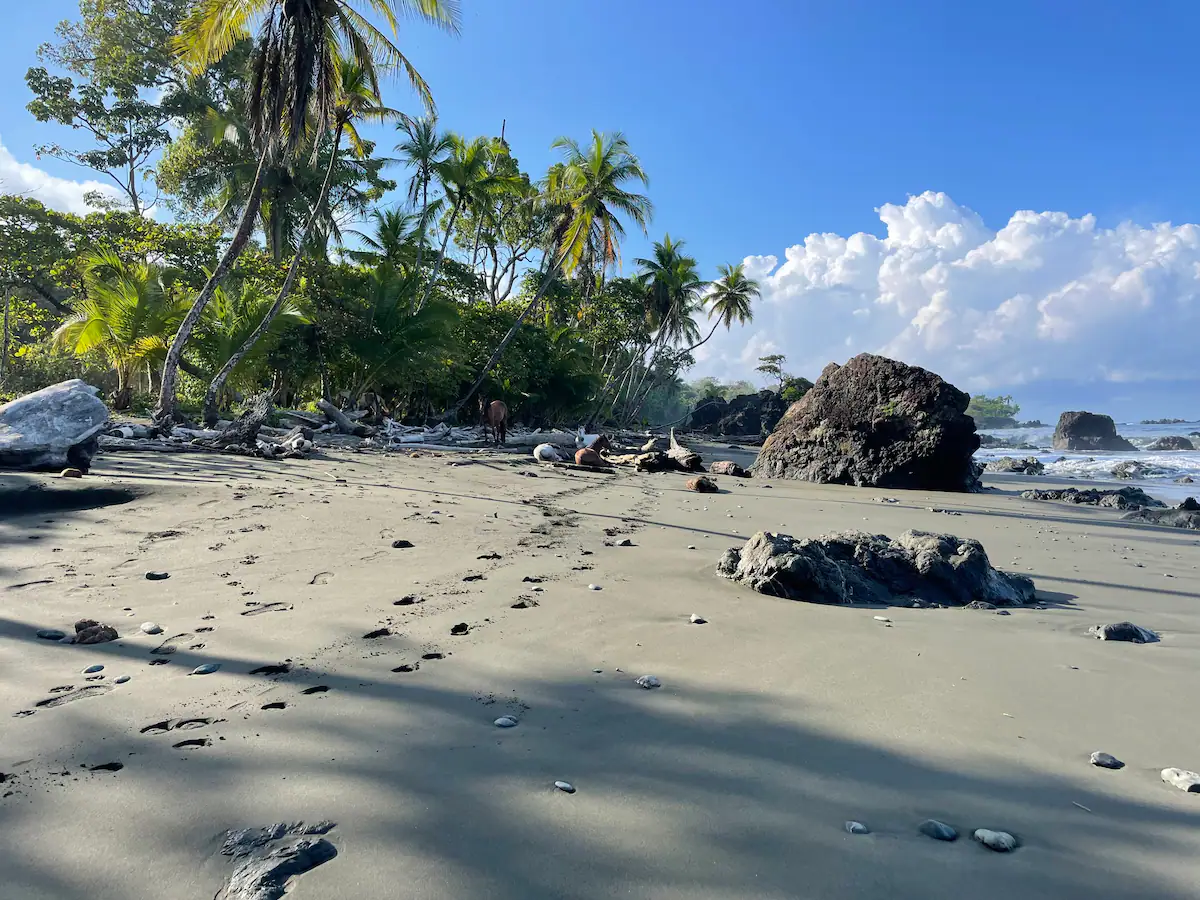 For rent in Pavones, Costa Rica