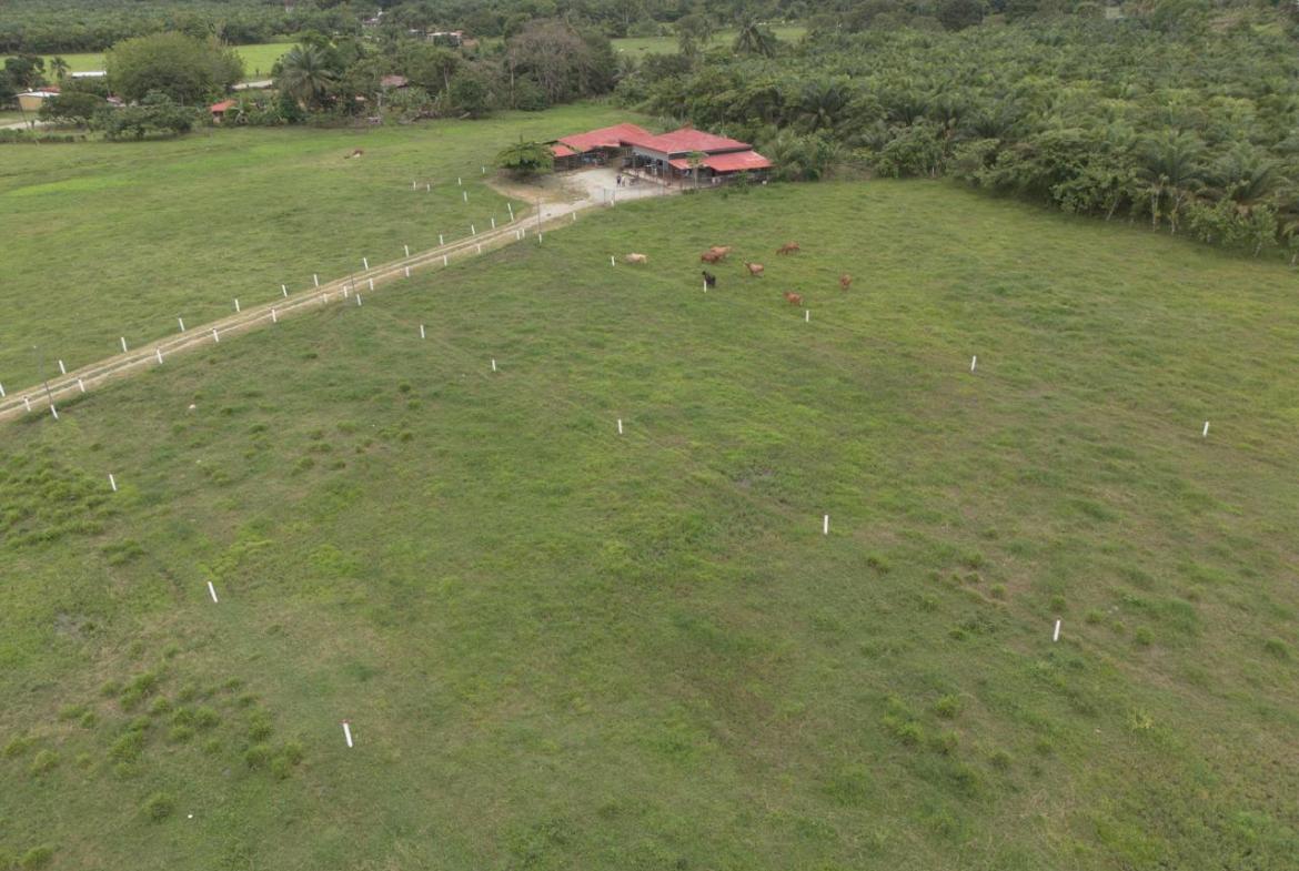 Farm in Costa Rica