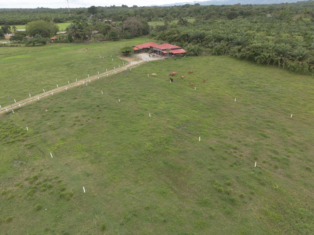 Farm in Costa Rica