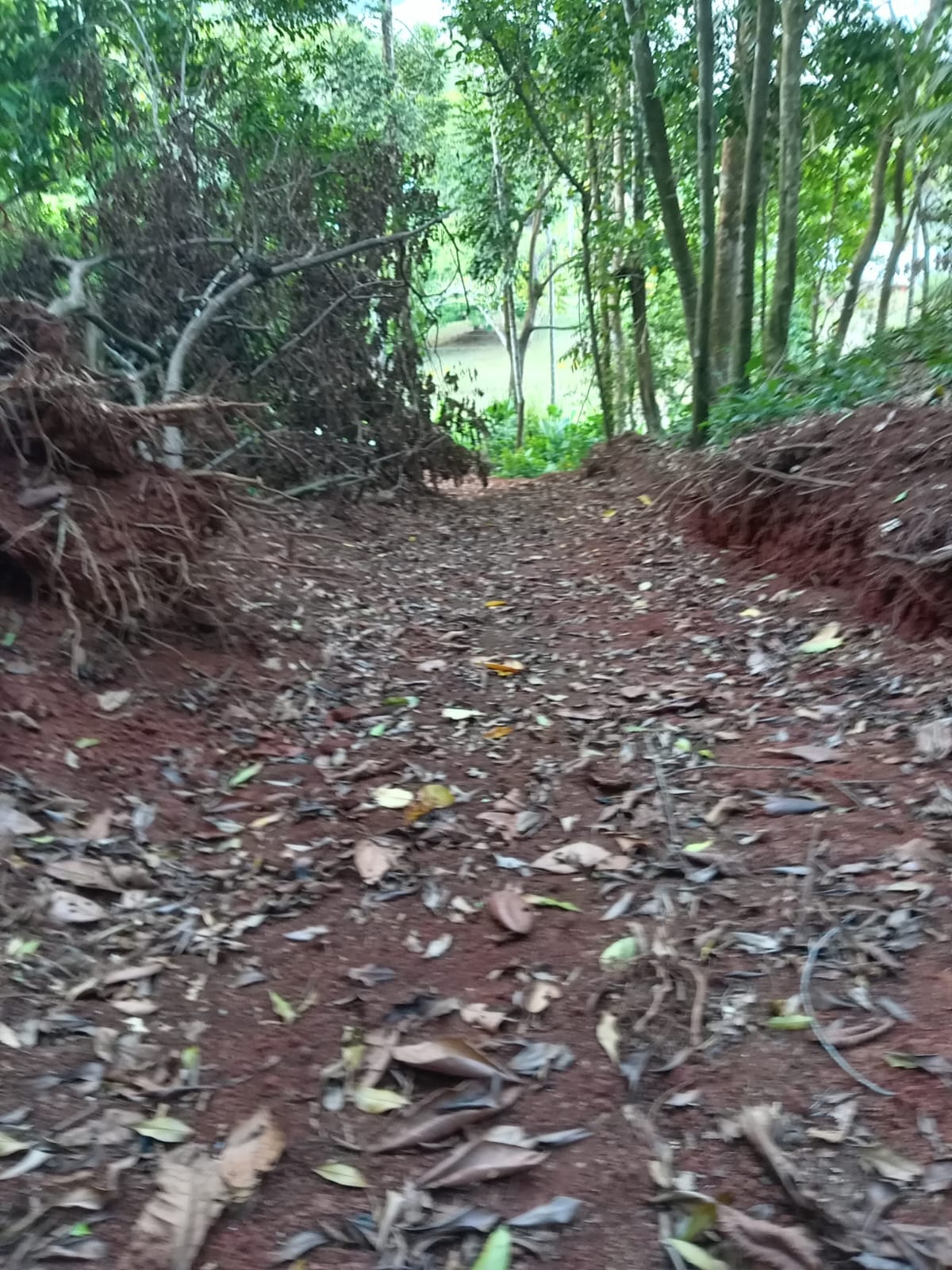 85c5ff42-0167-43d9-bbf3-3e6027a2a16f-min