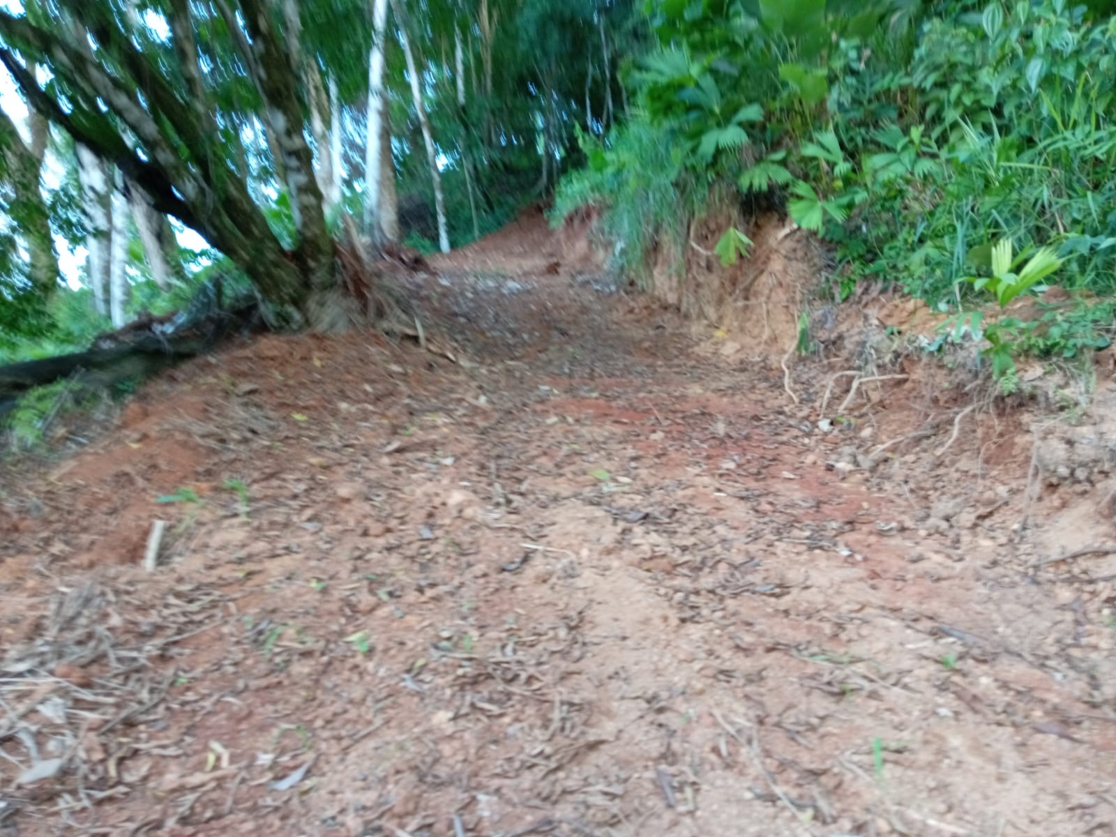 8e298d2b-922c-4e30-8c69-6e18486296f7-min