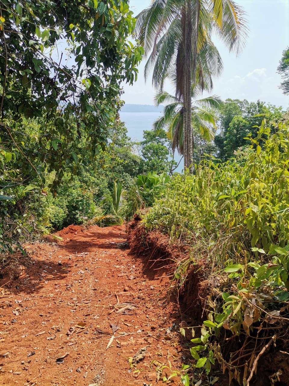 95a5842f-5294-4b58-bb0d-5383037bd82e-min