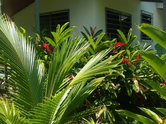 Vacation Rental in Pavones