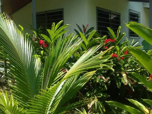 9905d64c-2abf-403e-b513-1ca51bd99d22-min