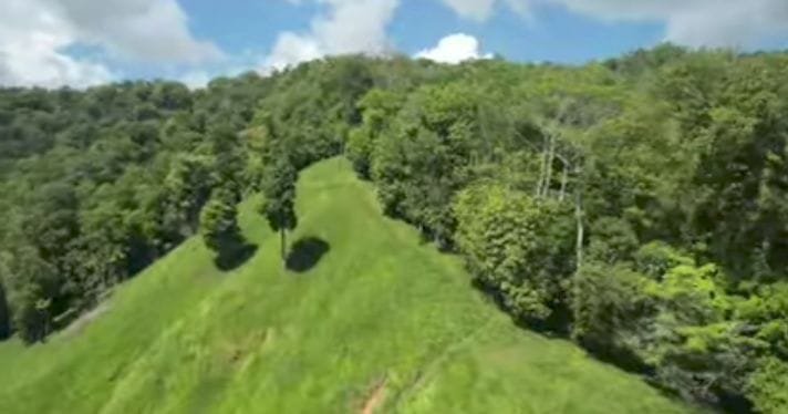 9fcb007d-f6b9-46f8-aa28-ad8fe49dba84-min