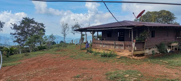 GreenLeaf-072-001-min