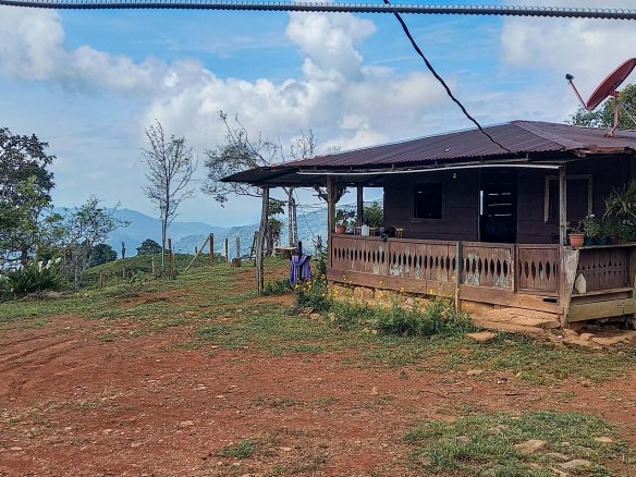 GreenLeaf-072-001-min