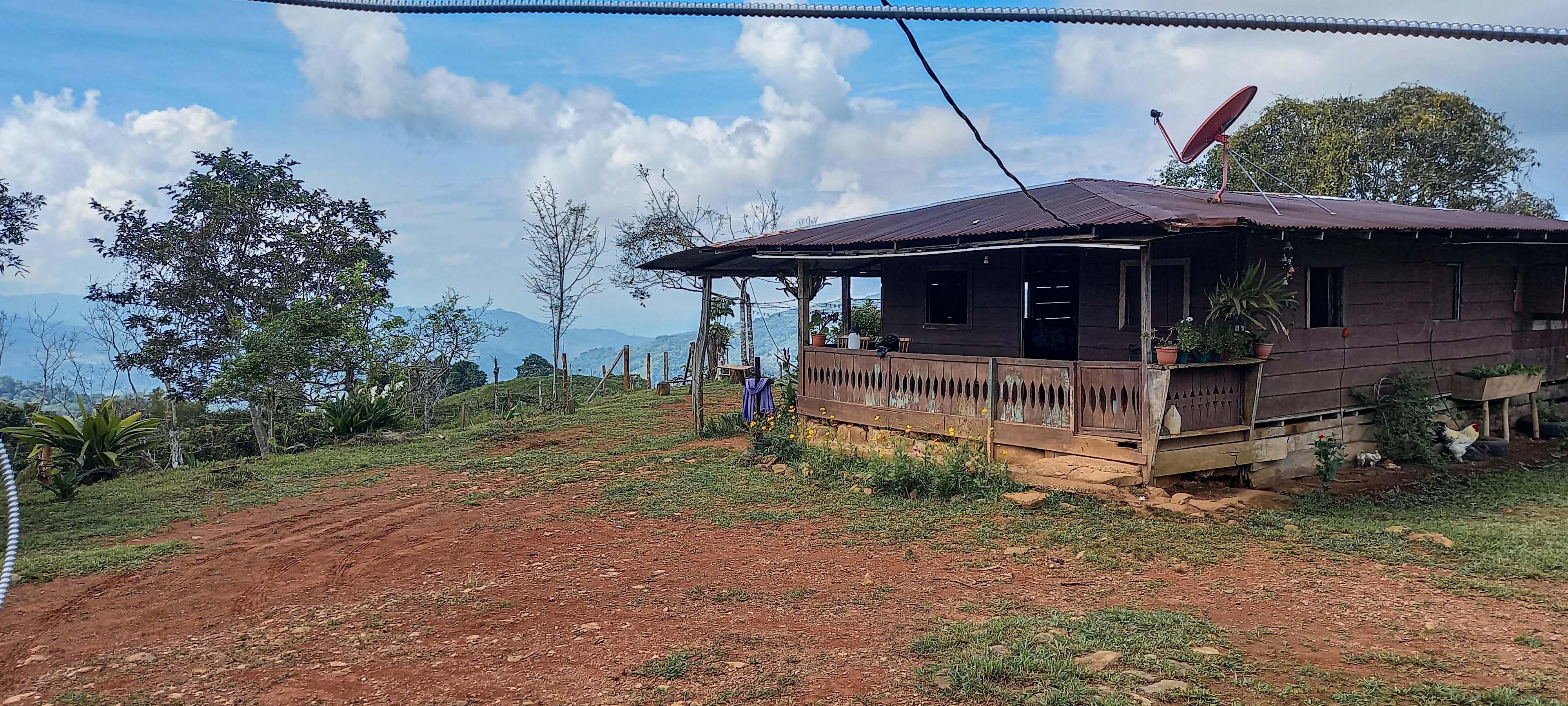 GreenLeaf-072-001-min