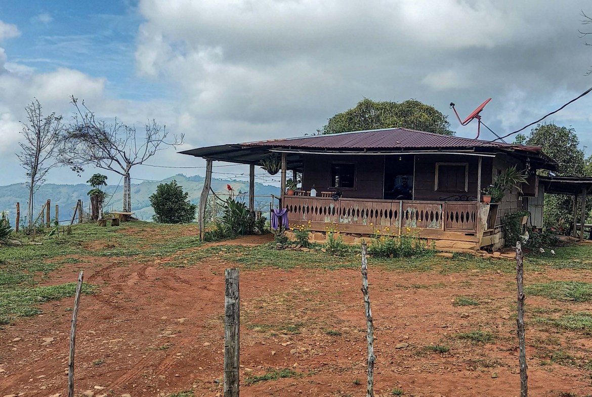 GreenLeaf-072-002-min