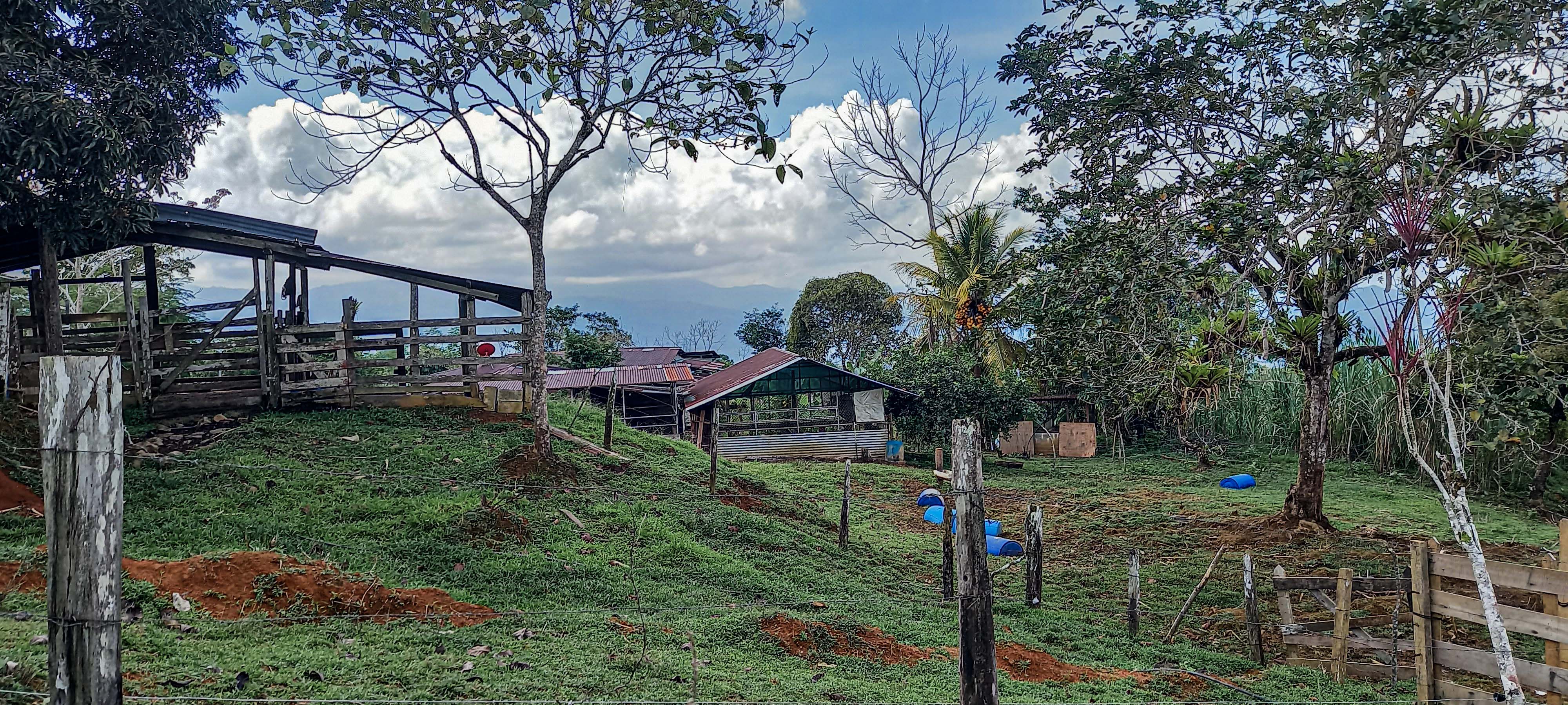 GreenLeaf-072-003-min