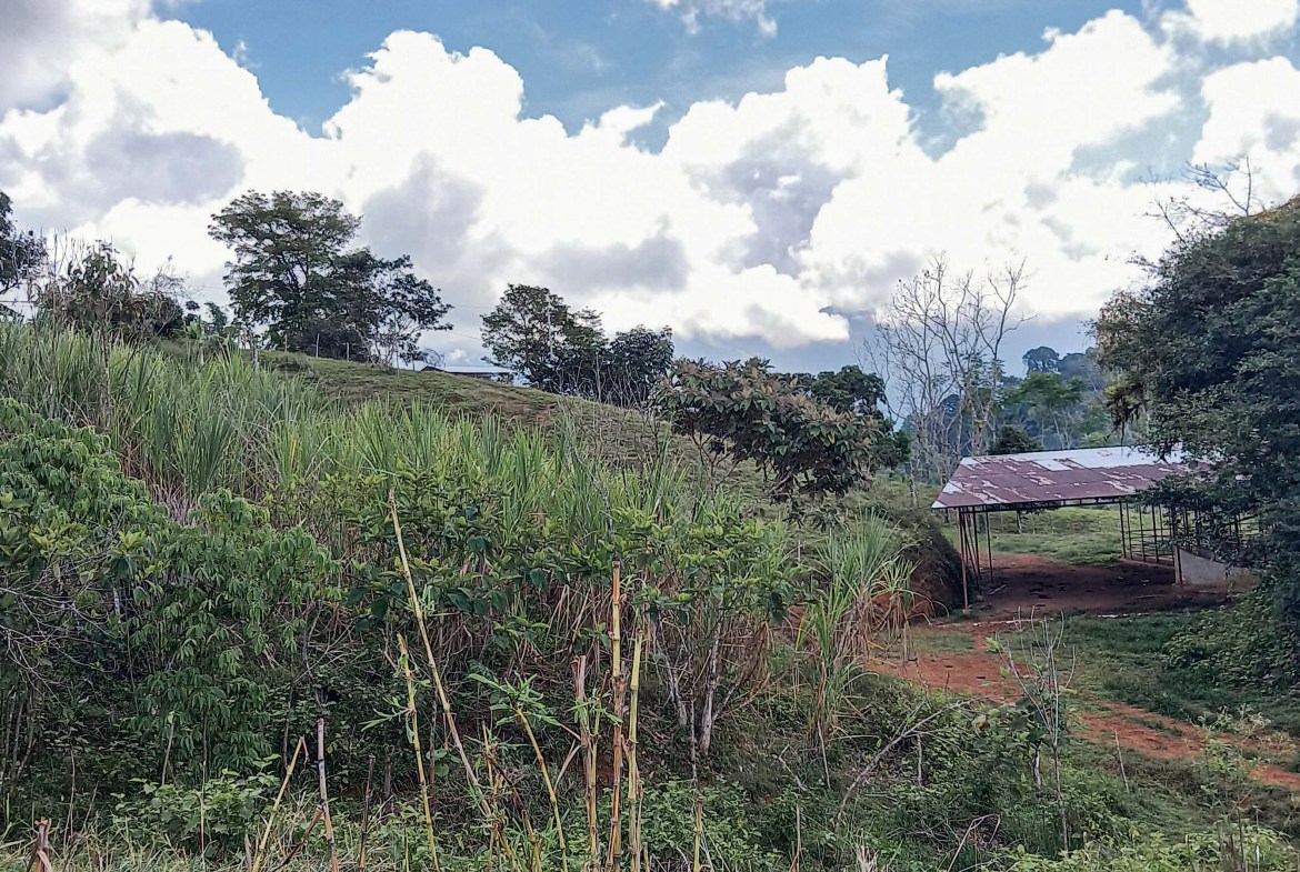 GreenLeaf-072-005-min