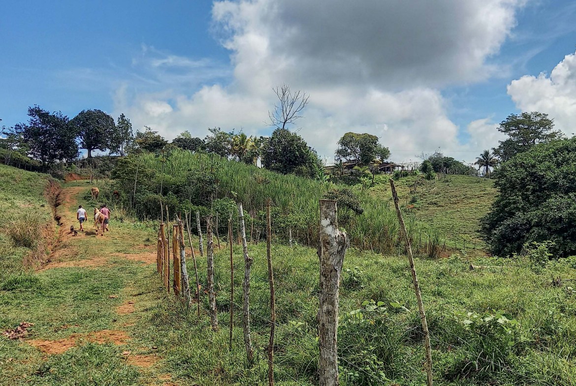 GreenLeaf-072-007-min