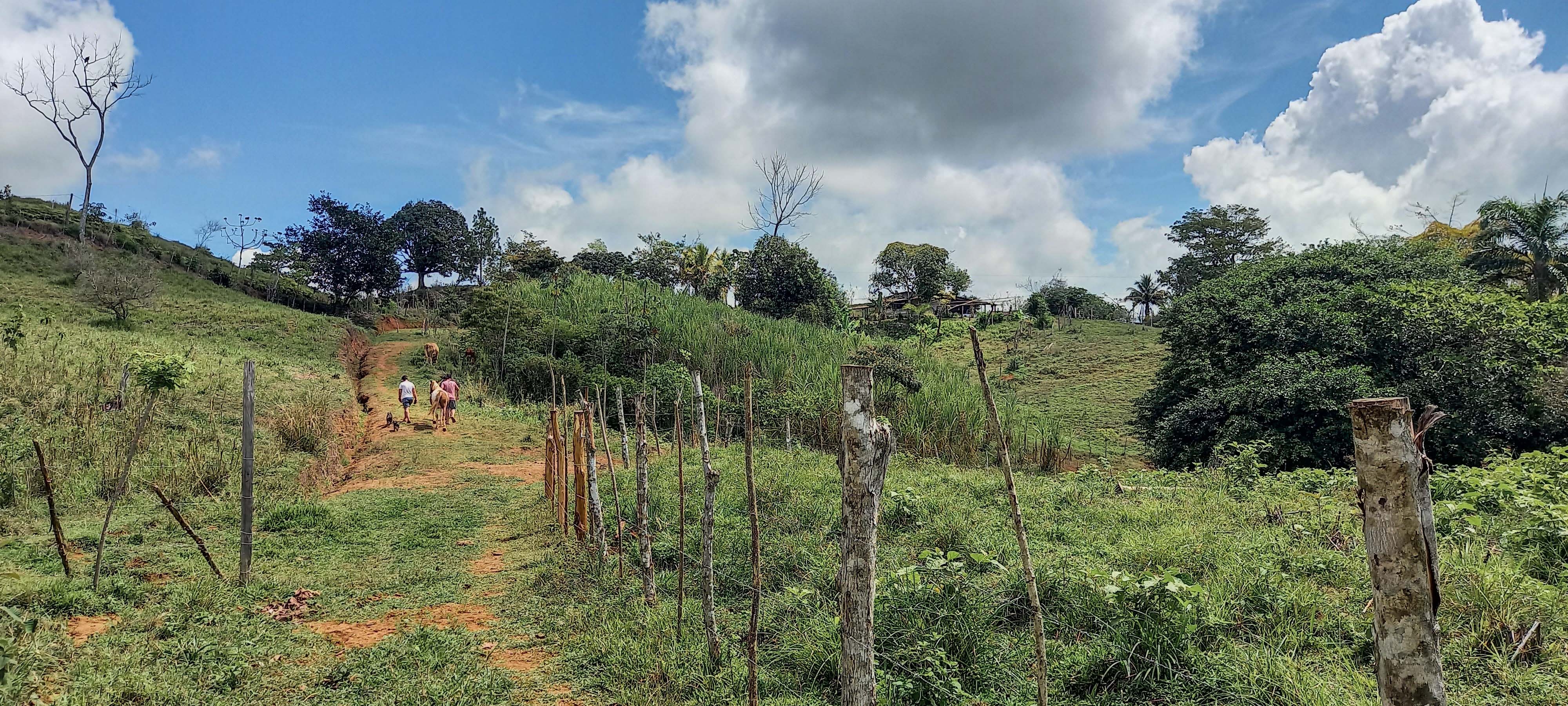 GreenLeaf-072-007-min