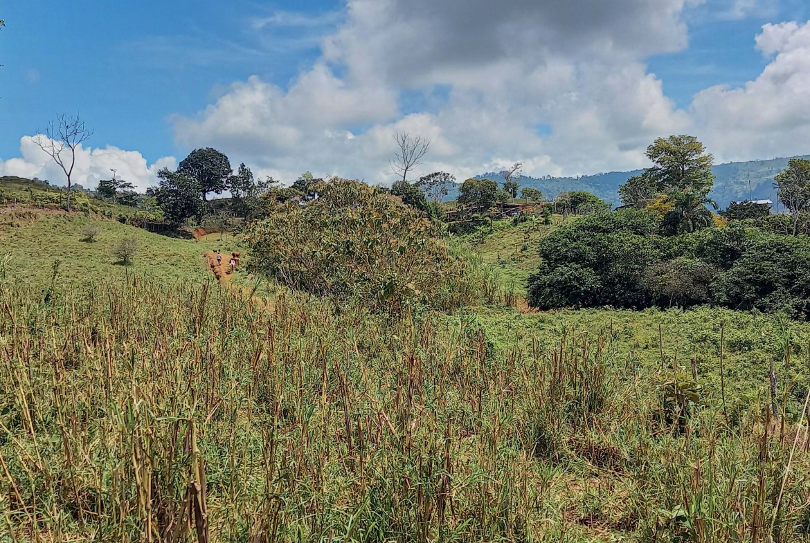 GreenLeaf-072-008-min