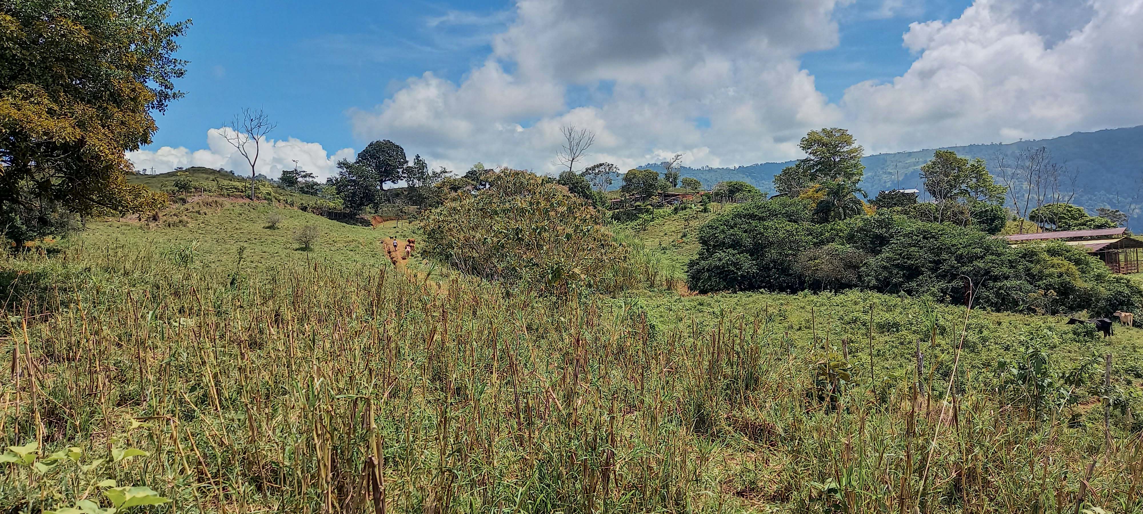 GreenLeaf-072-008-min