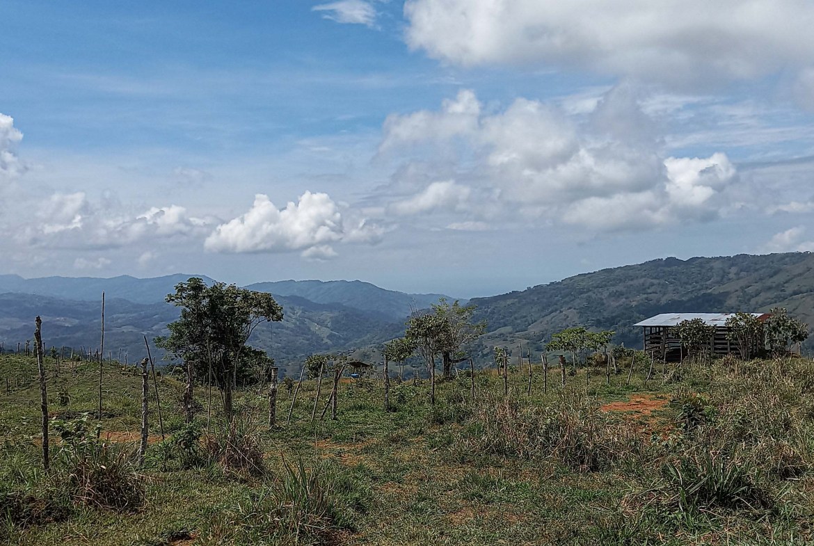 GreenLeaf-072-009-min