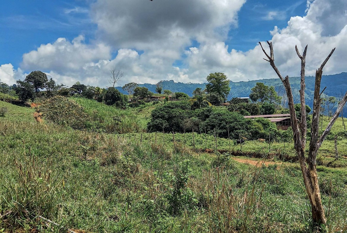 GreenLeaf-072-010-min