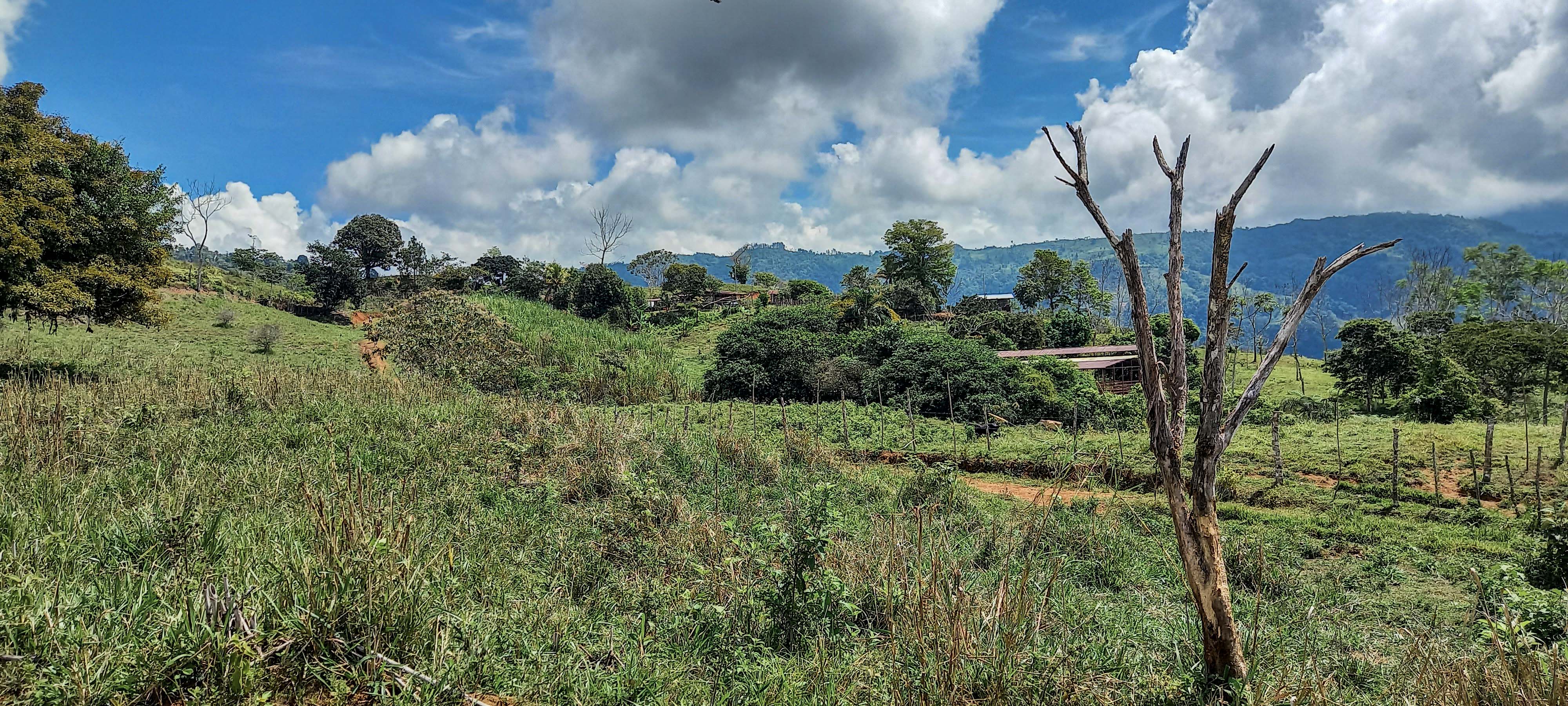 GreenLeaf-072-010-min