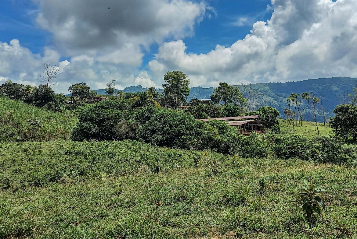 GreenLeaf-072-011-min