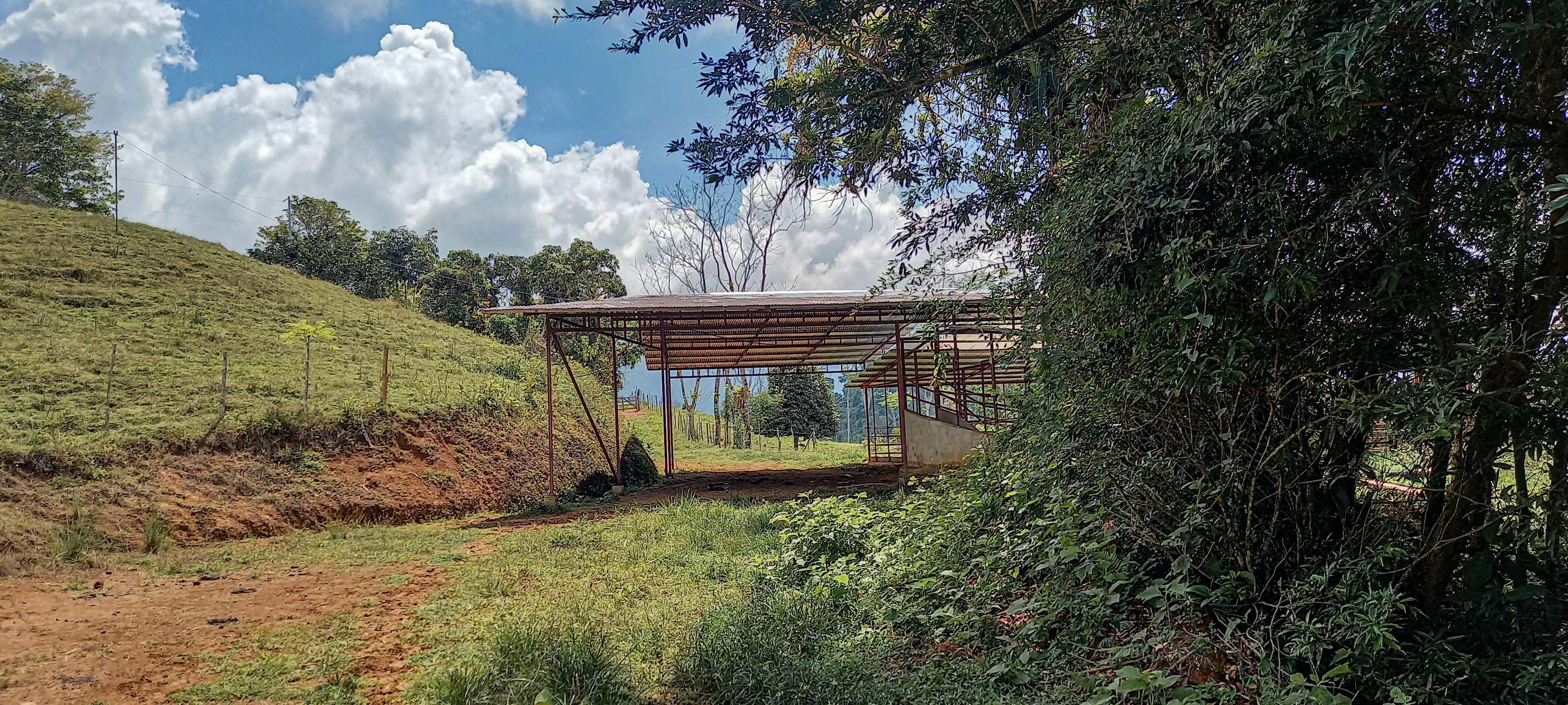 GreenLeaf-072-012-min