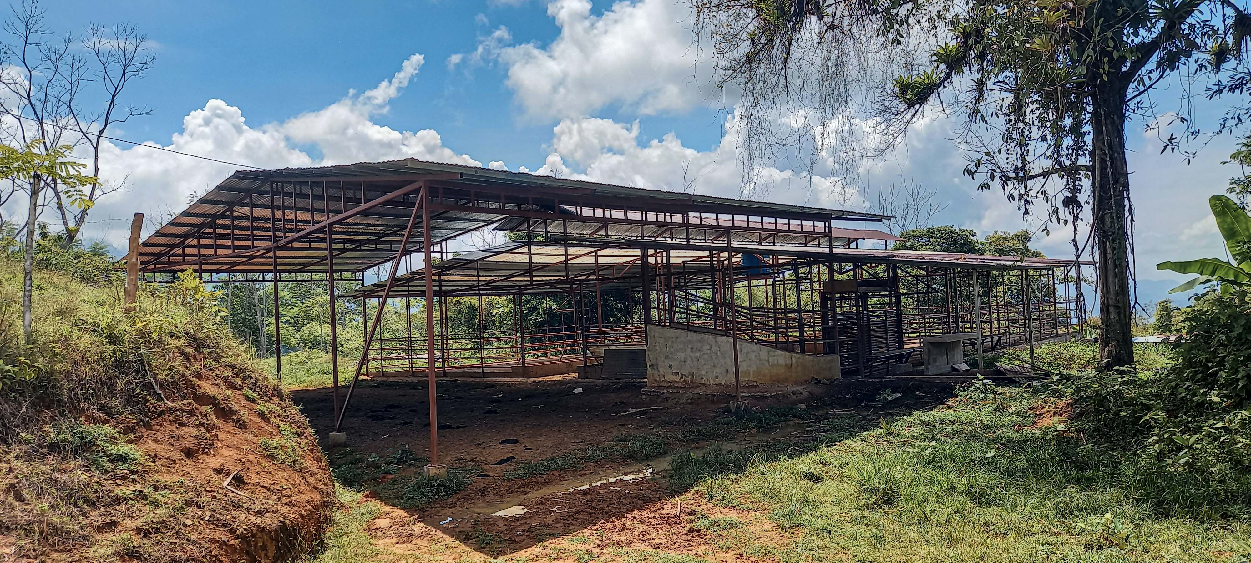 GreenLeaf-072-013-min