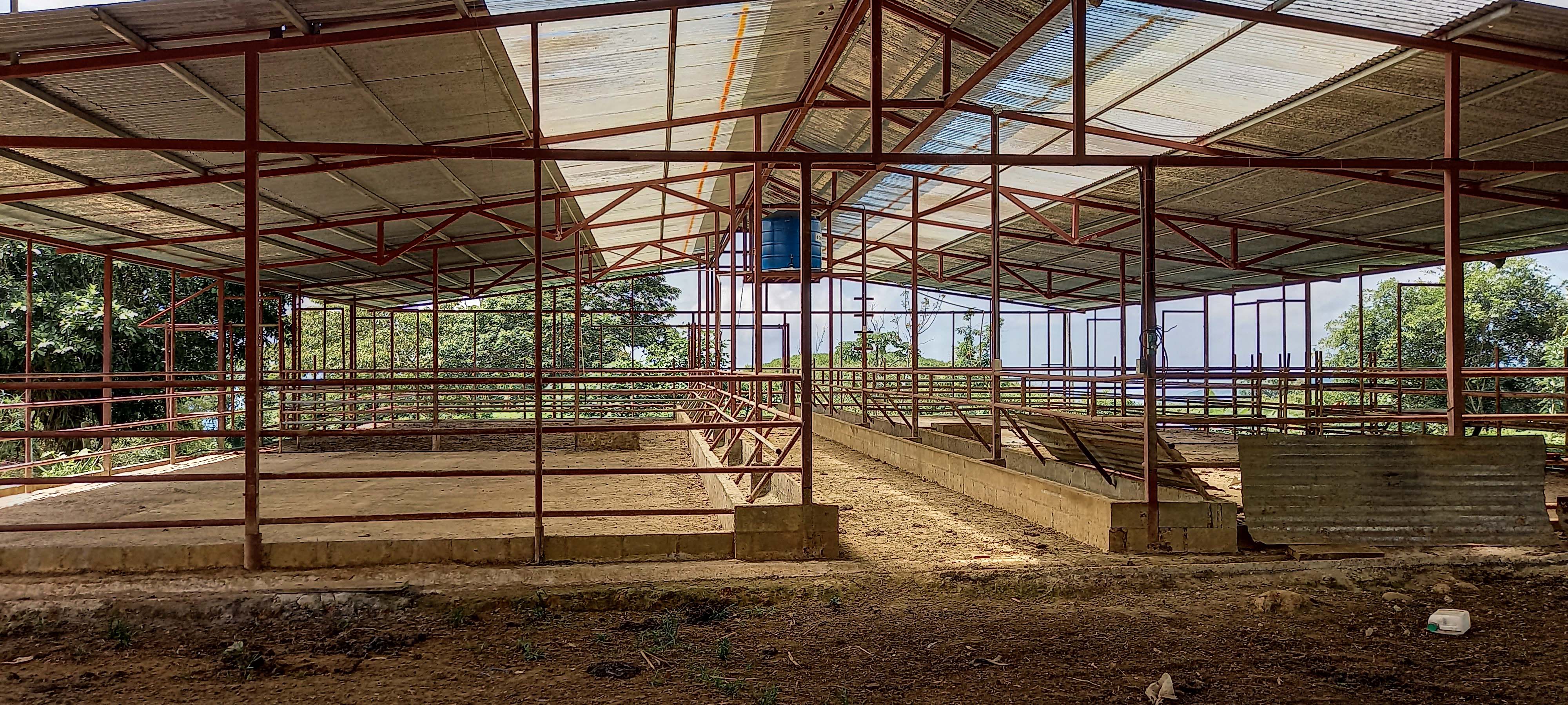 GreenLeaf-072-014-min