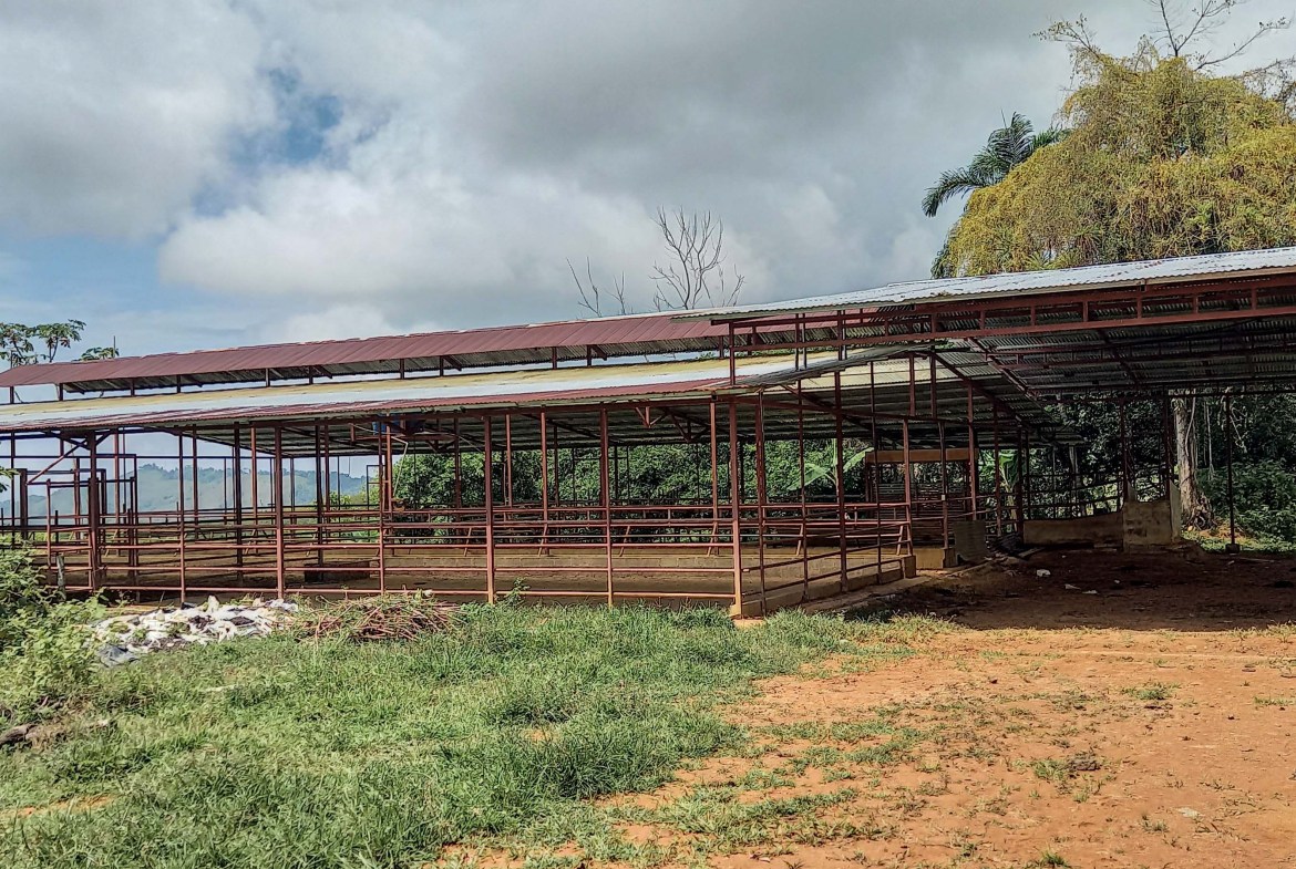 GreenLeaf-072-015-min