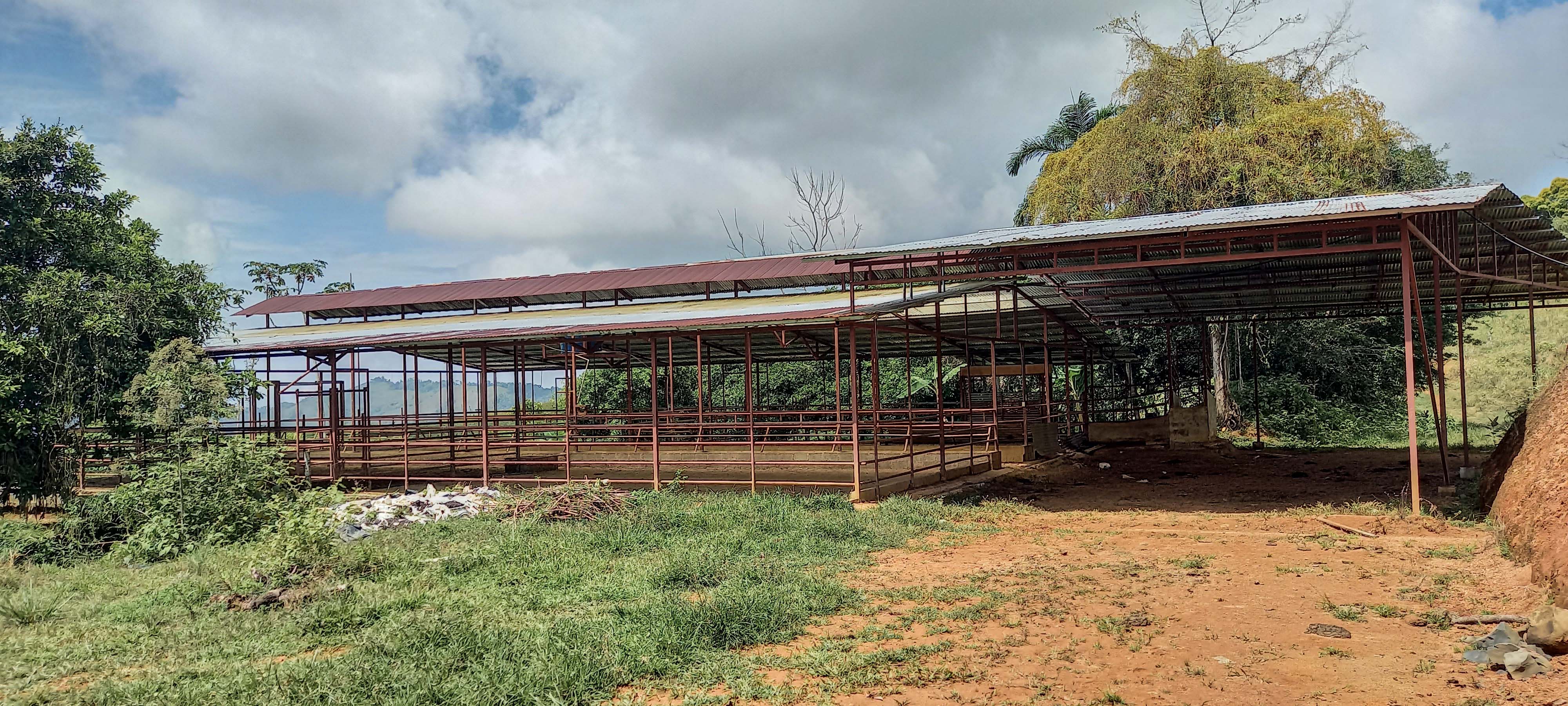 GreenLeaf-072-015-min