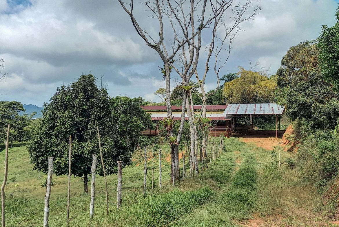 GreenLeaf-072-016-min