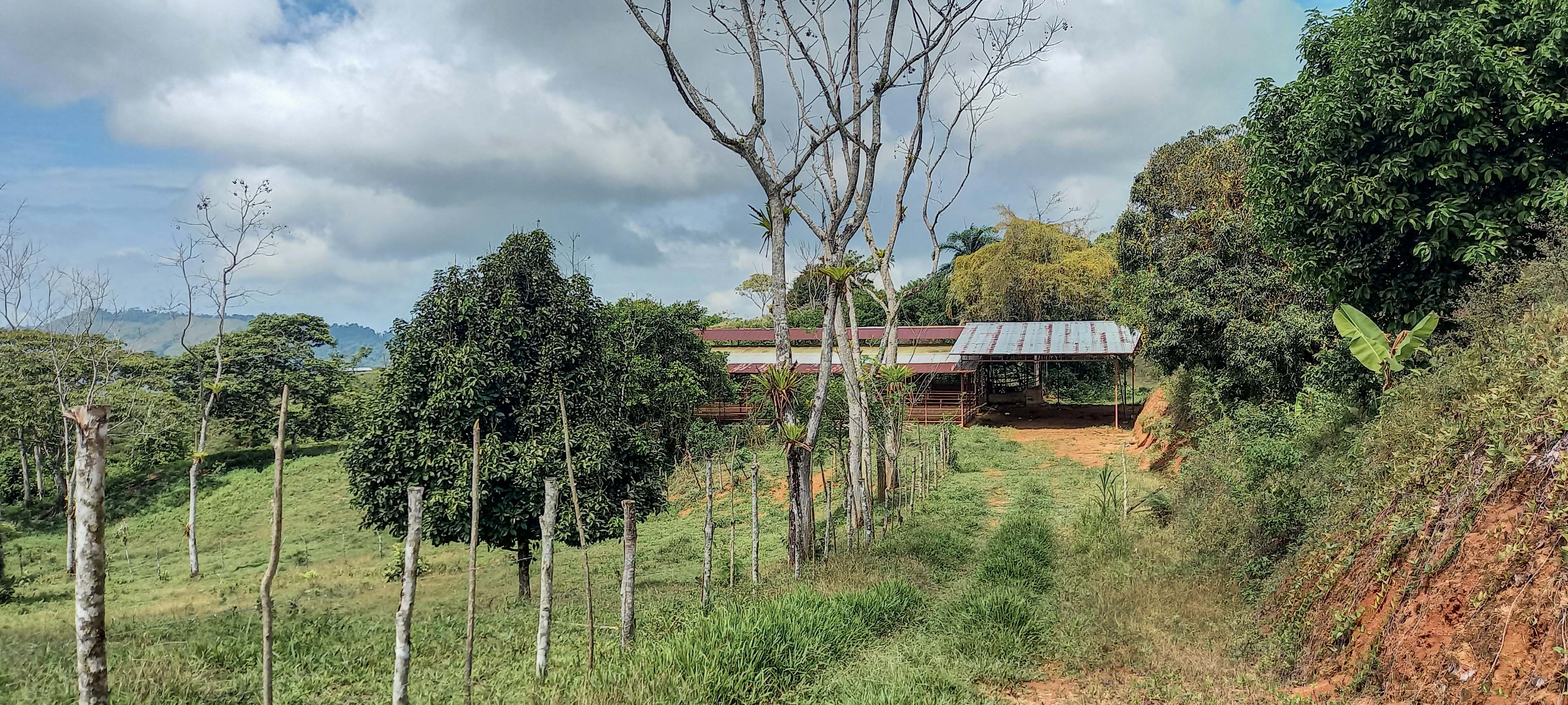 GreenLeaf-072-016-min