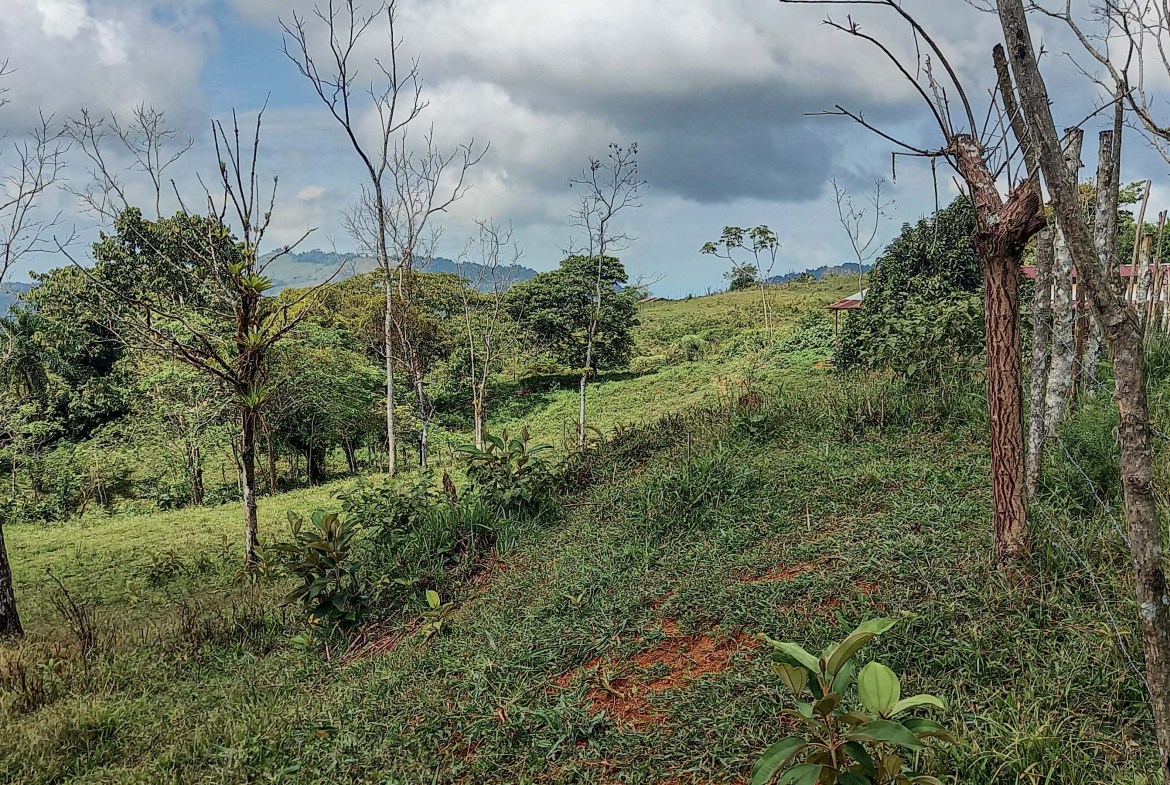 GreenLeaf-072-017-min