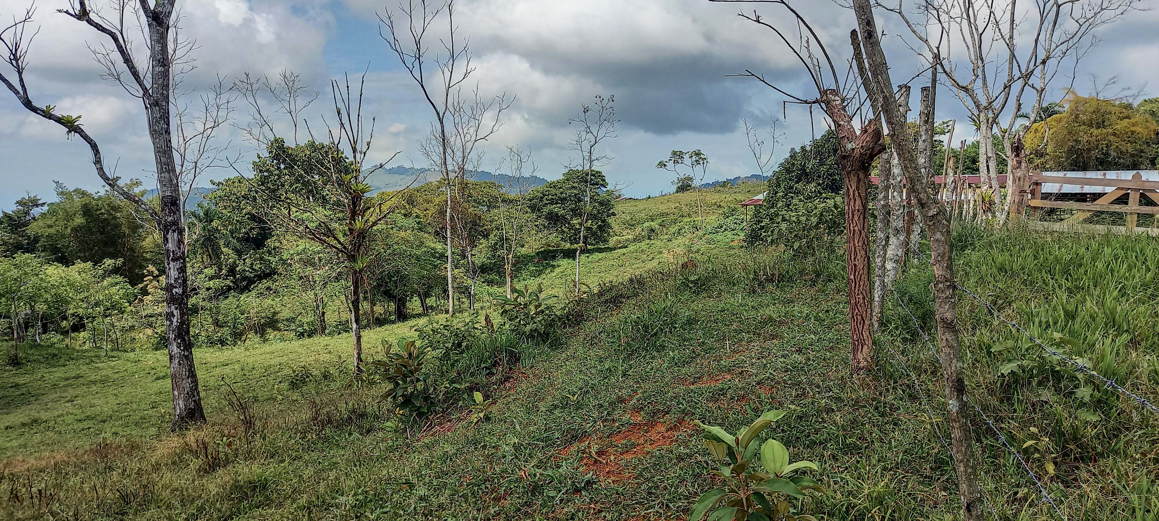 GreenLeaf-072-017-min