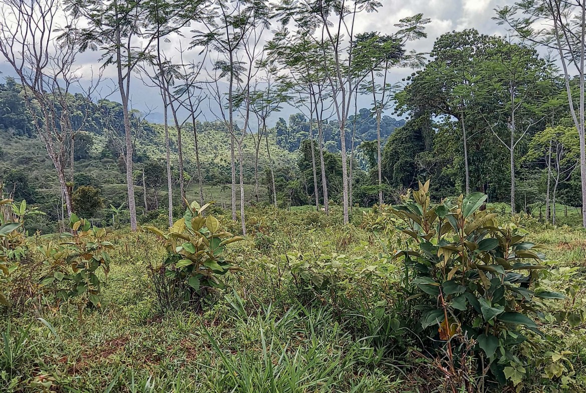 GreenLeaf-072-018-min