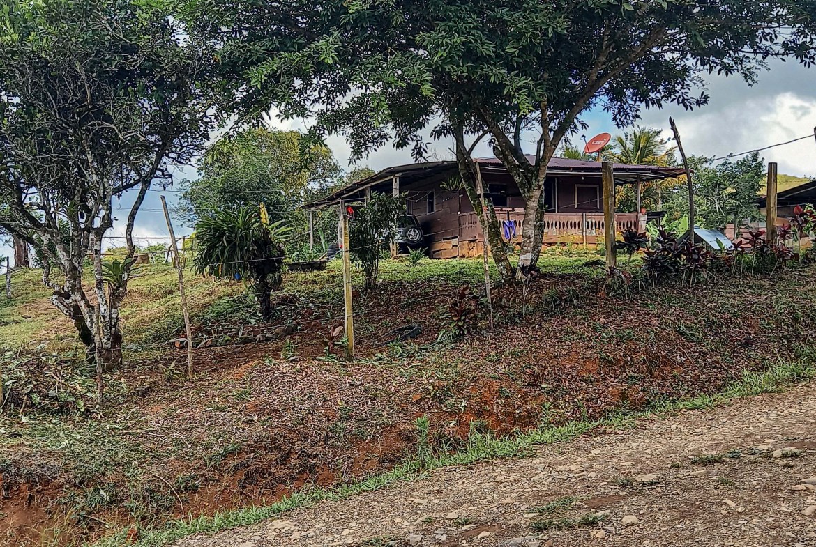 GreenLeaf-072-019-min