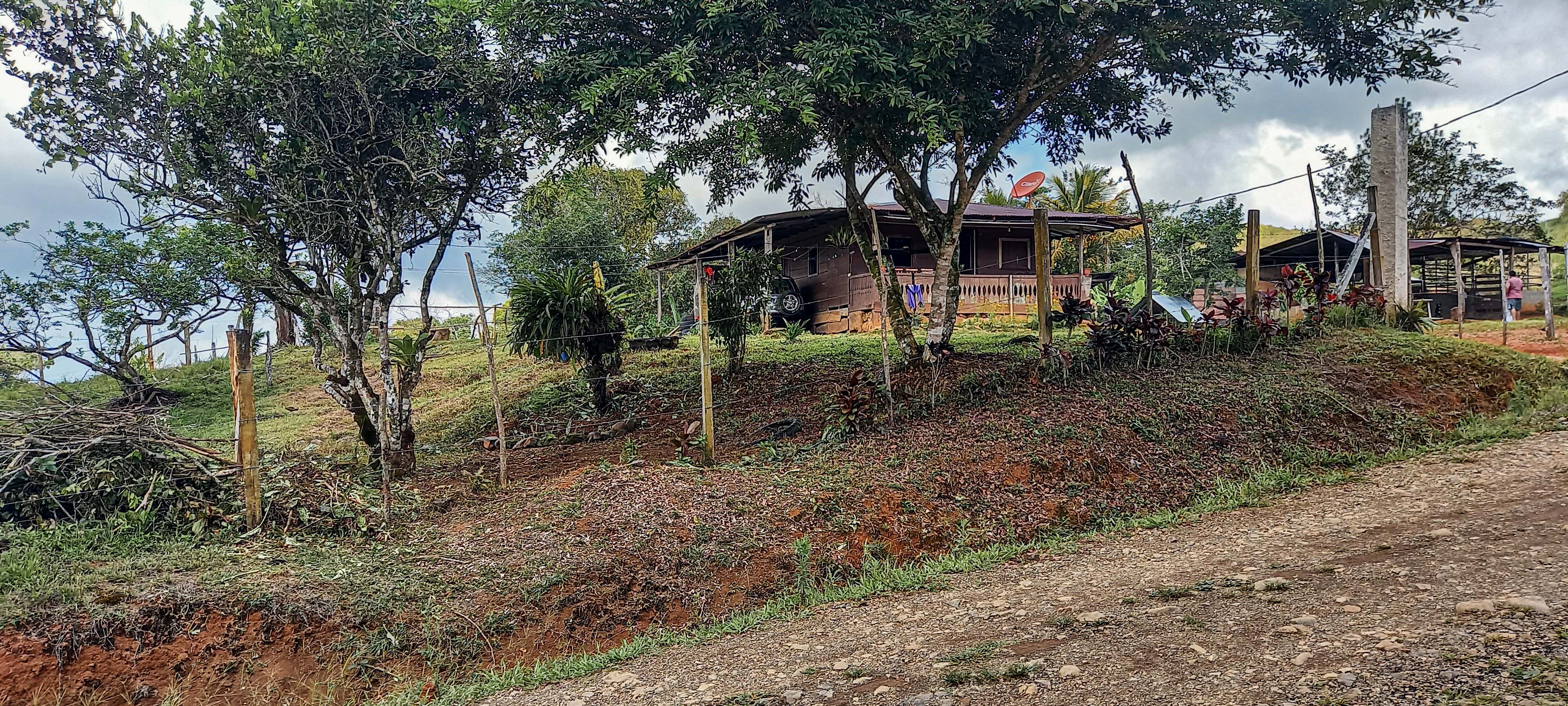 GreenLeaf-072-019-min