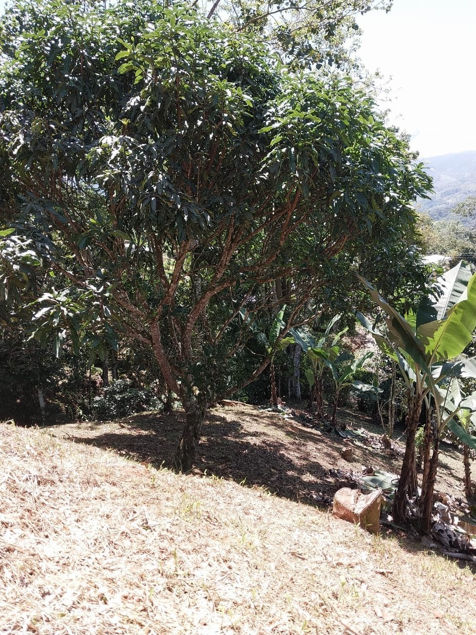 IMG-20230907-WA0149-min