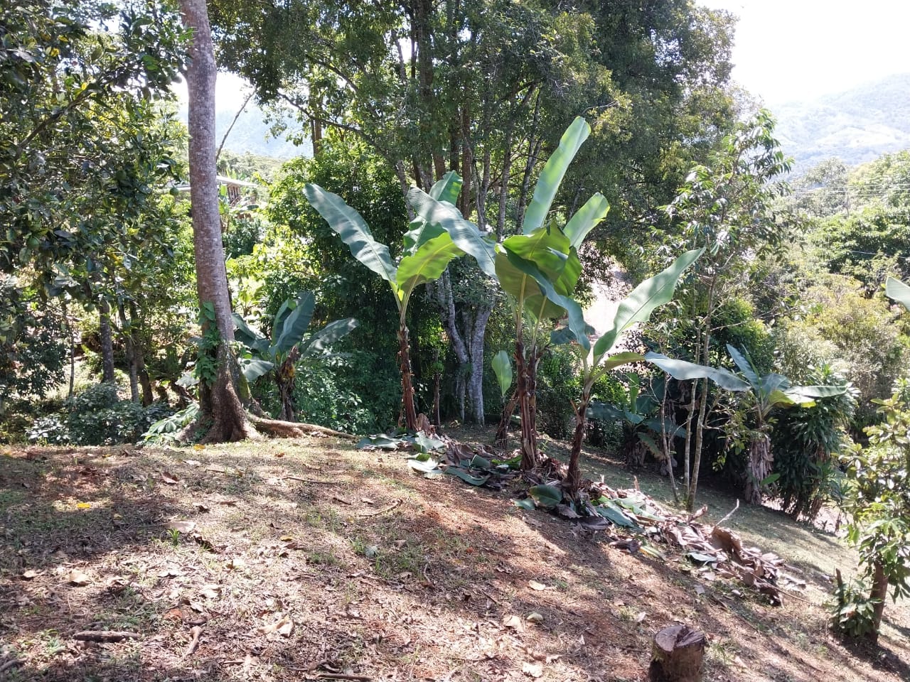 IMG-20230907-WA0158-min