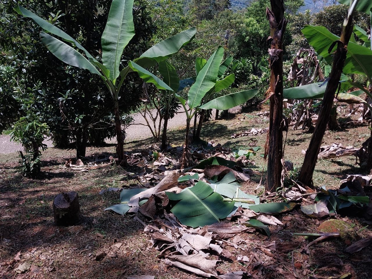 IMG-20230907-WA0159-min