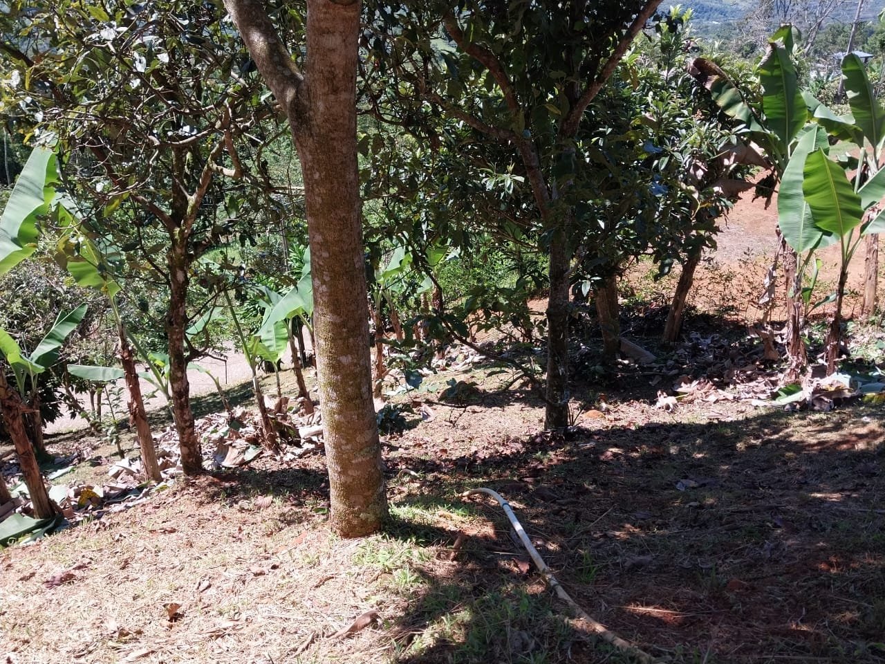 IMG-20230907-WA0160-min