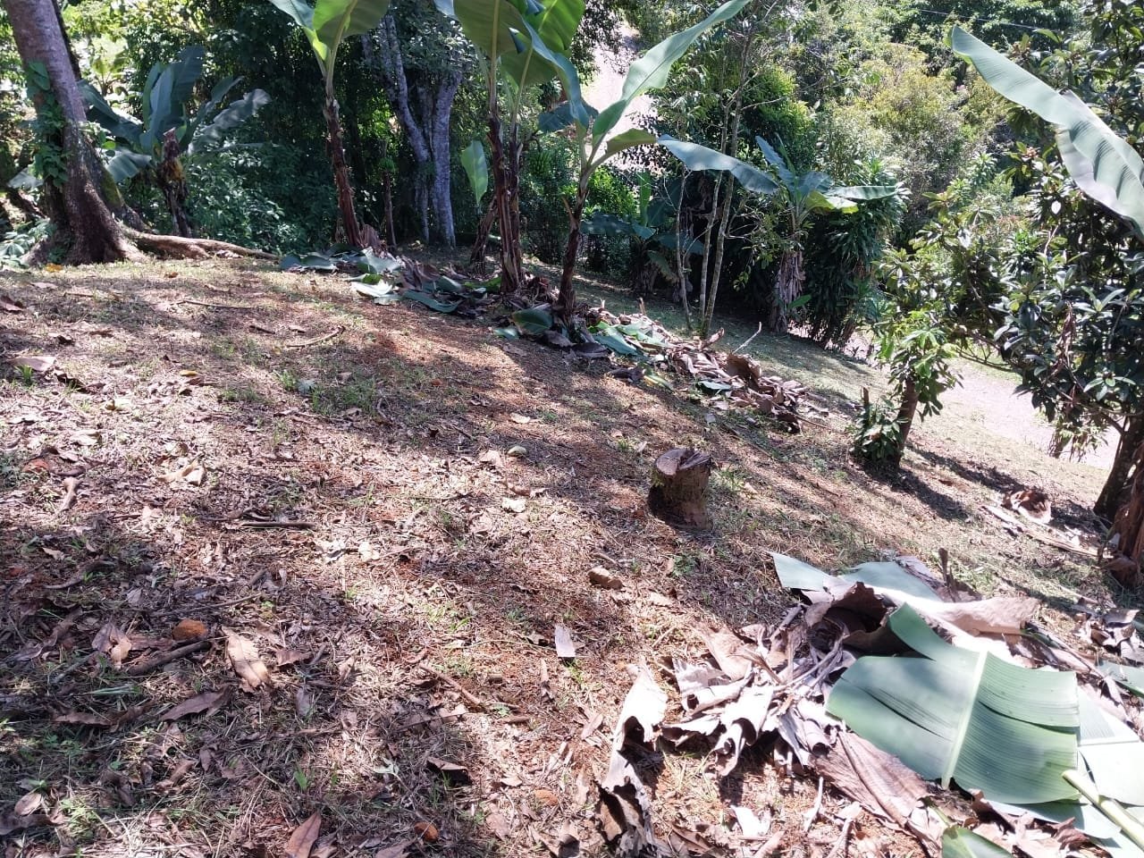 IMG-20230907-WA0161-min