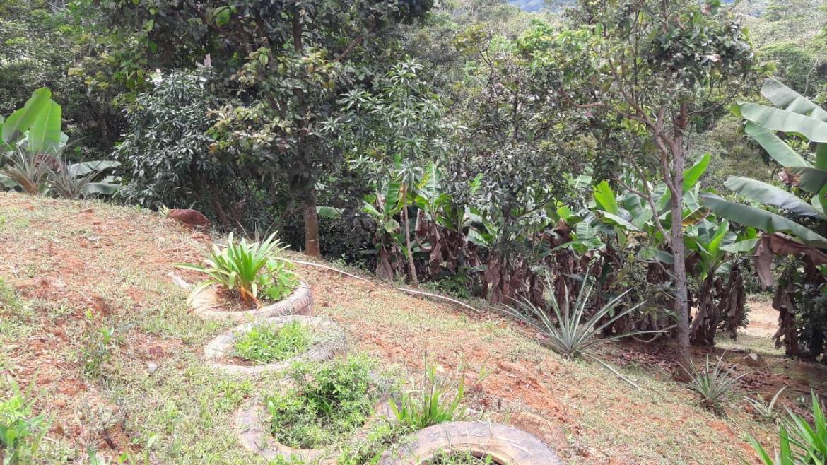 IMG-20230907-WA0162-min