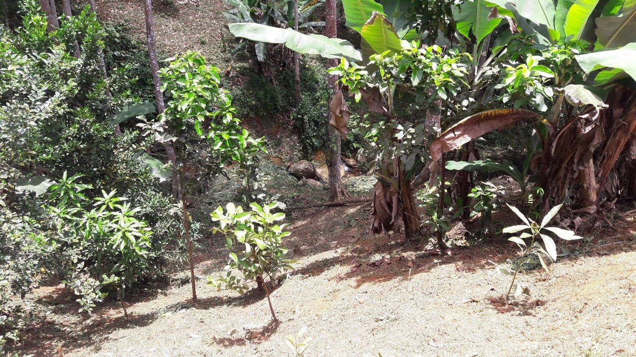 IMG-20230907-WA0163-min