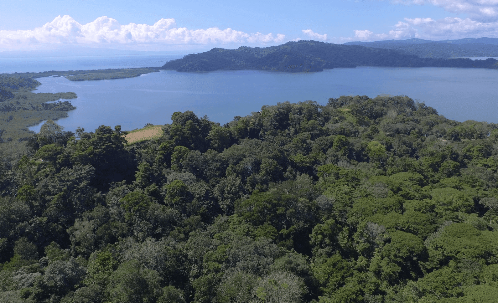 Screenshot 2024-06-11 at 8.01.41-min