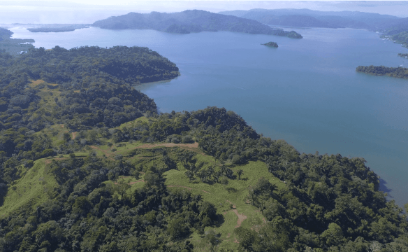 Screenshot 2024-06-11 at 8.01.52-min