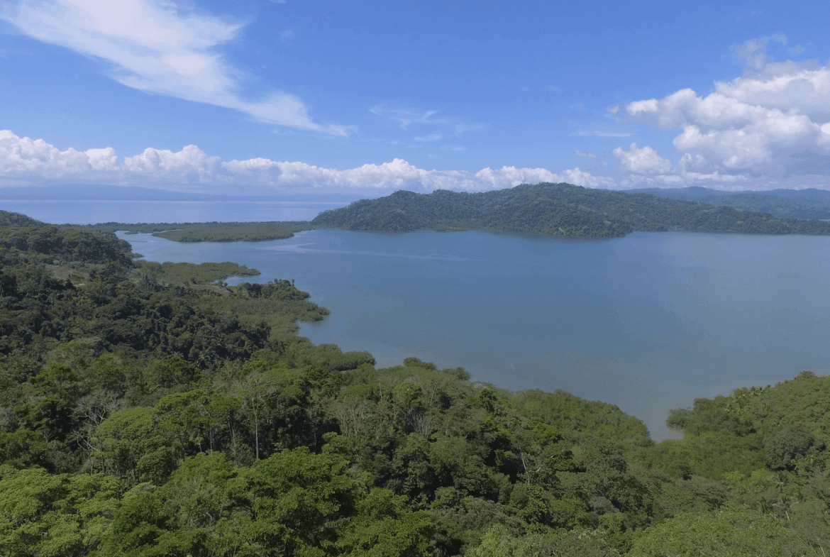 Screenshot 2024-06-11 at 8.02.13-min