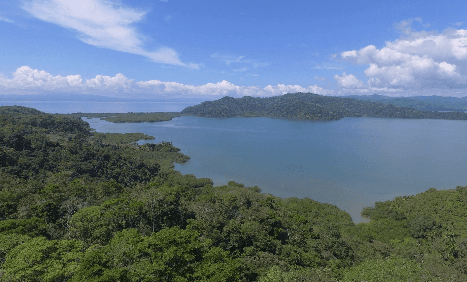 Screenshot 2024-06-11 at 8.02.13-min